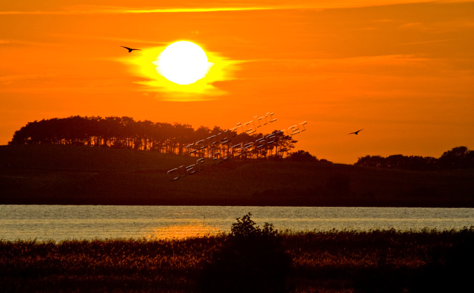 Usedom%20(13)